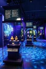 「クレヴィア マチュピチュ展」東京・六本木で、天空都市への没入型空間＆文化財約130点を展示｜写真4