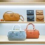 miumiu ナッパレザー　バレリーナ　バッグ　アルカディ　ワンダー miumiu ナッパレザー バレリーナ バッグ アルカディ ワンダー