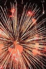 「なにわ淀川花火大会 2025」大阪市淀川区で開催、秋の夜空を彩る国内屈指の花火ショー｜写真5