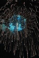 「なにわ淀川花火大会 2025」大阪市淀川区で開催、秋の夜空を彩る国内屈指の花火ショー｜写真6