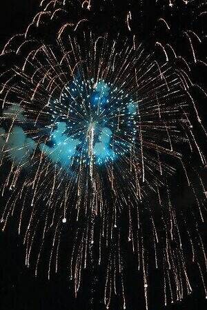 「なにわ淀川花火大会 2025」大阪市淀川区で開催、秋の夜空を彩る国内屈指の花火ショー｜写真6