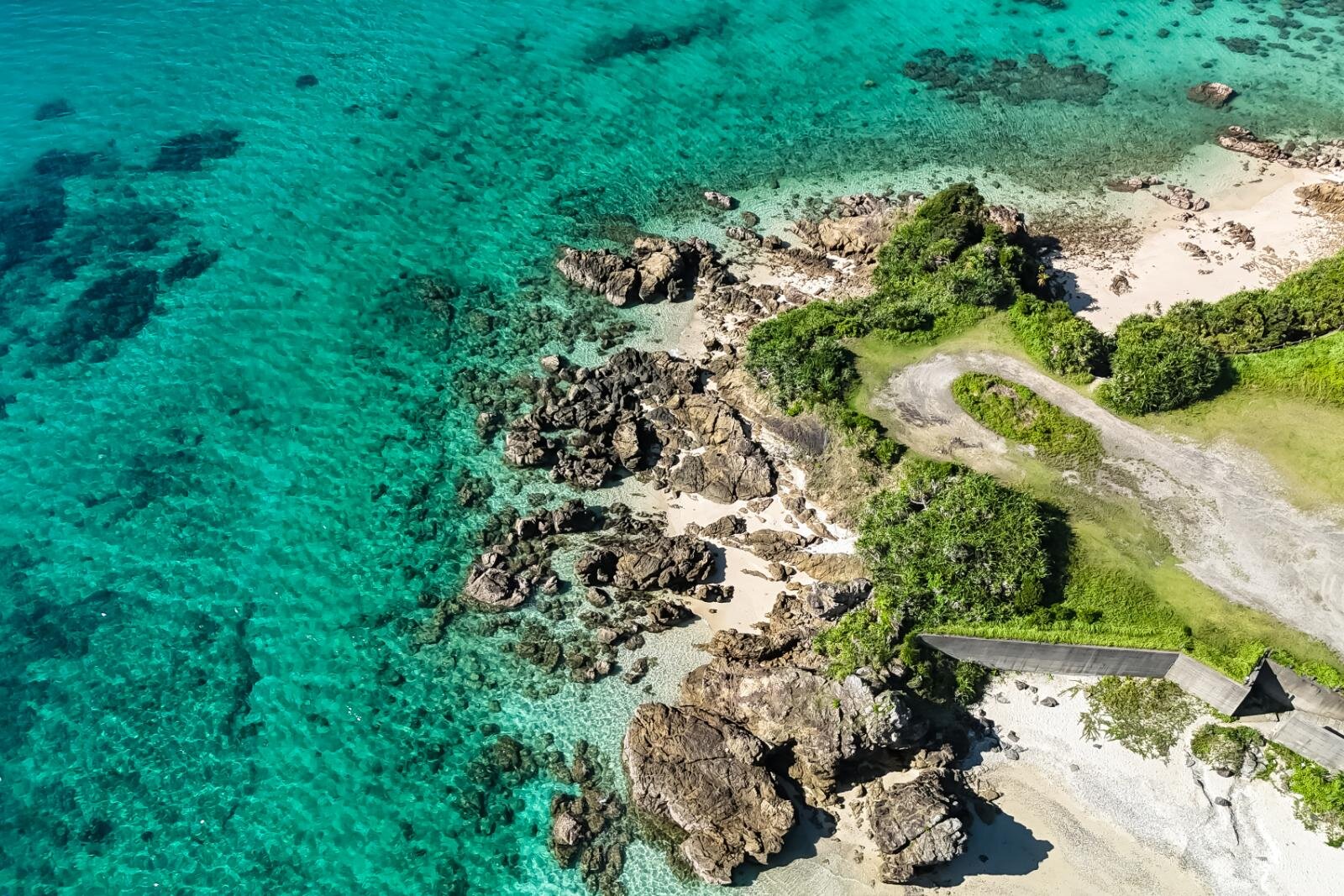 奄美大島の絶景ビーチ完全ガイド、“ウミガメに出会える”海はどこ？観光・ダイビングスポットも｜写真38