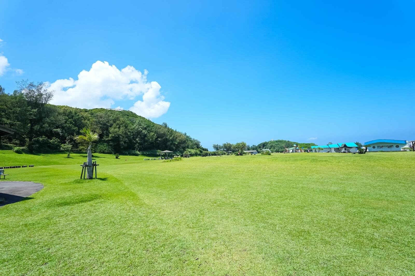 奄美大島の絶景ビーチ完全ガイド、“ウミガメに出会える”海はどこ？観光・ダイビングスポットも｜写真49