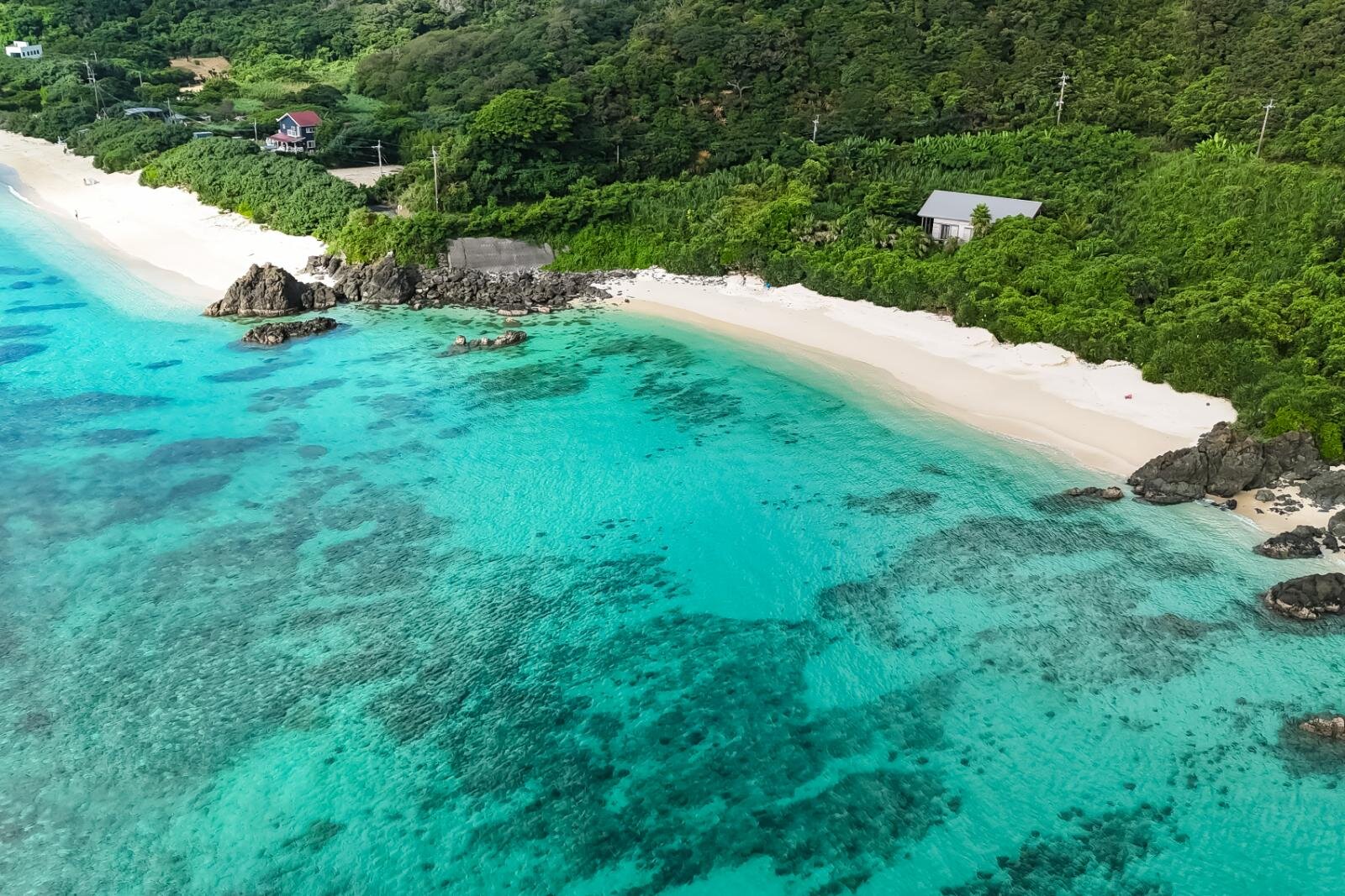 奄美大島の絶景ビーチ完全ガイド、“ウミガメに出会える”海はどこ？観光・ダイビングスポットも｜写真24