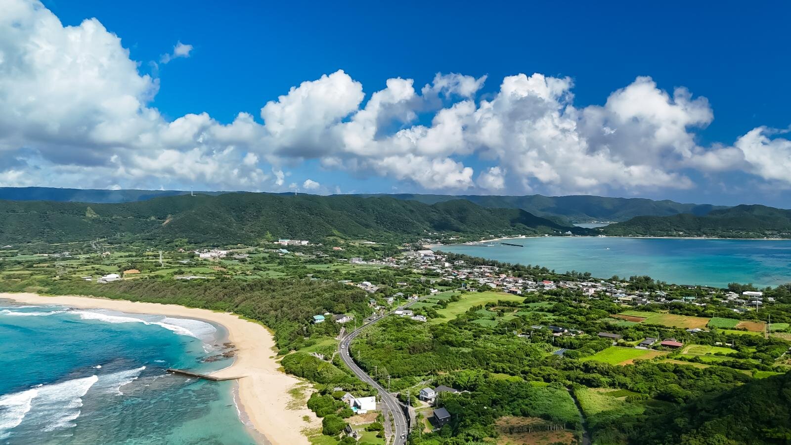 奄美大島の絶景ビーチ完全ガイド、“ウミガメに出会える”海はどこ？観光・ダイビングスポットも｜写真15
