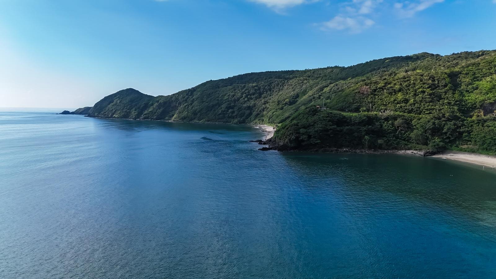 奄美大島の絶景ビーチ完全ガイド、“ウミガメに出会える”海はどこ？観光・ダイビングスポットも｜写真59