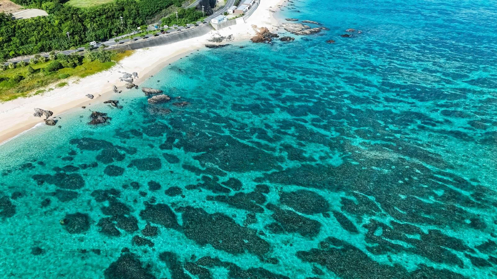 奄美大島の絶景ビーチ完全ガイド、“ウミガメに出会える”海はどこ？観光・ダイビングスポットも｜写真9
