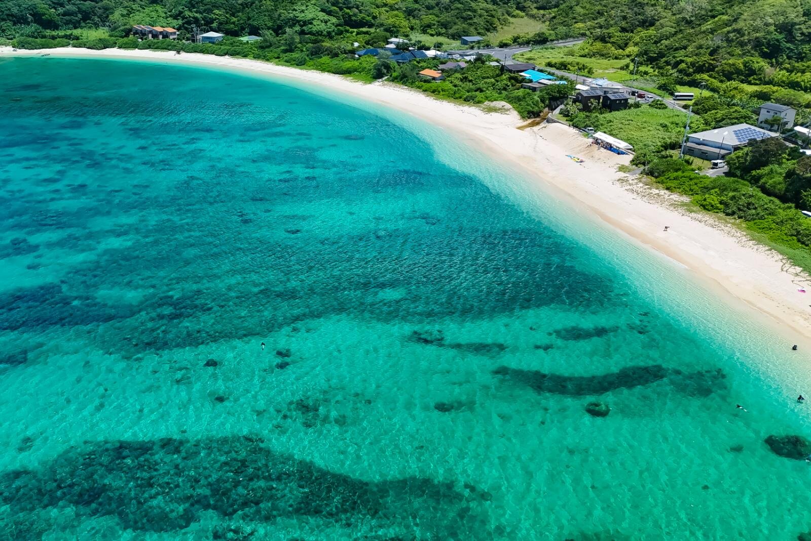 奄美大島の絶景ビーチ完全ガイド、“ウミガメに出会える”海はどこ？観光・ダイビングスポットも｜写真29