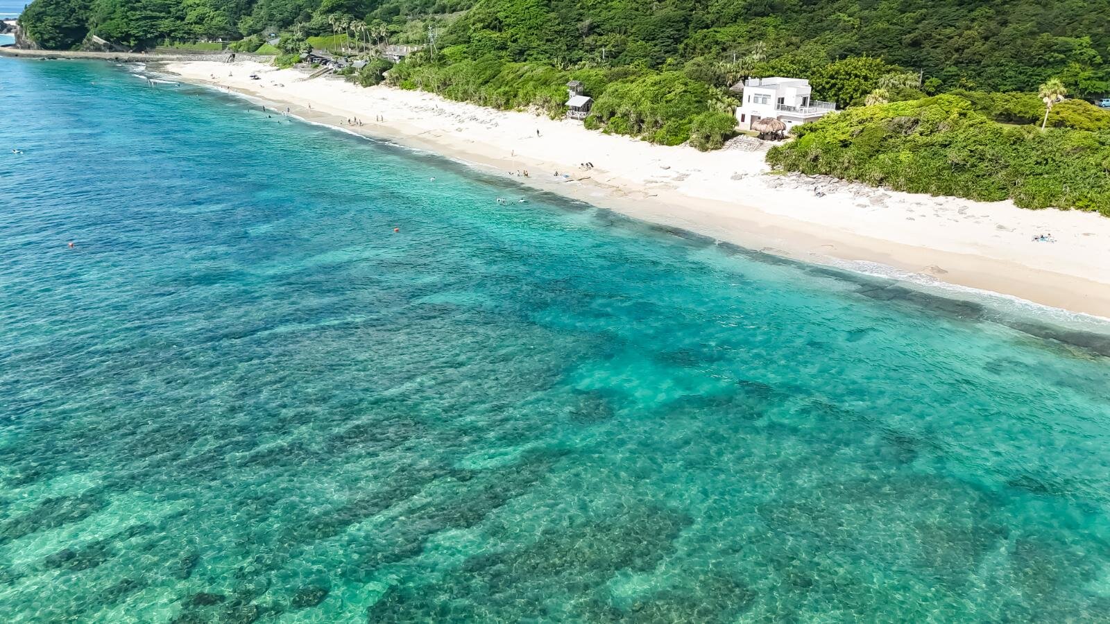 奄美大島の絶景ビーチ完全ガイド、“ウミガメに出会える”海はどこ？観光・ダイビングスポットも｜写真62