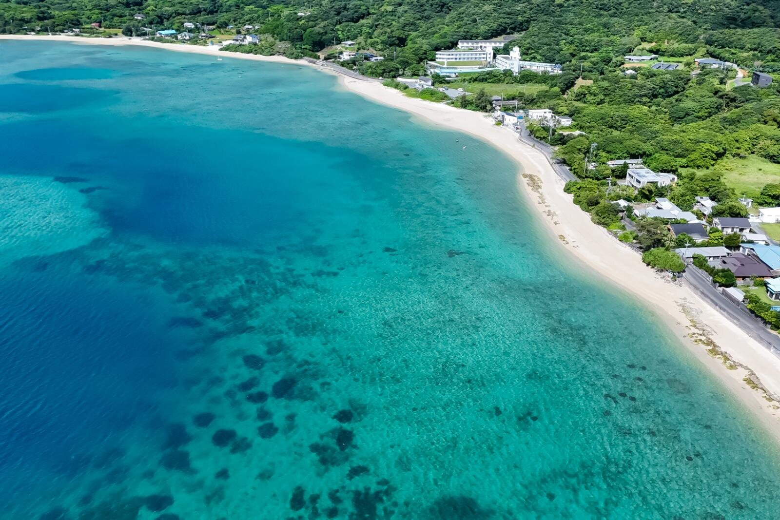 奄美大島の絶景ビーチ完全ガイド、“ウミガメに出会える”海はどこ？観光・ダイビングスポットも｜写真33