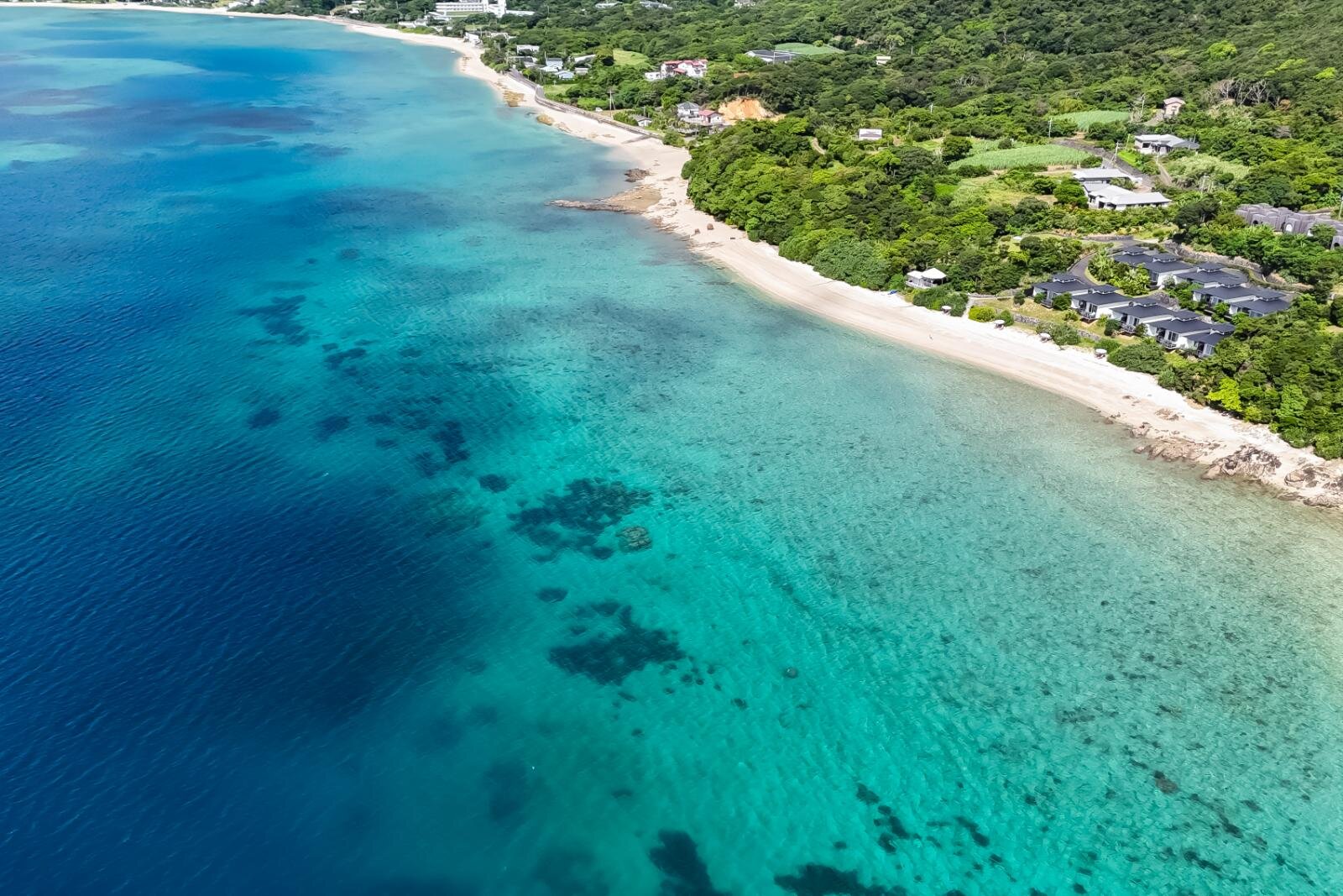 奄美大島の絶景ビーチ完全ガイド、“ウミガメに出会える”海はどこ？観光・ダイビングスポットも｜写真35