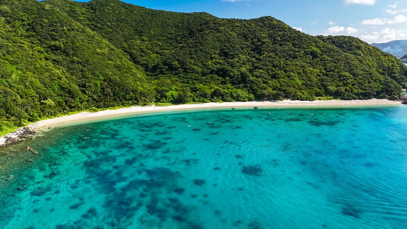 奄美大島の絶景ビーチ完全ガイド、“ウミガメに出会える”海はどこ？観光・ダイビングスポットも｜写真43