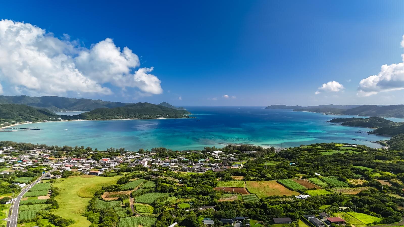 奄美大島の絶景ビーチ完全ガイド、“ウミガメに出会える”海はどこ？観光・ダイビングスポットも｜写真34
