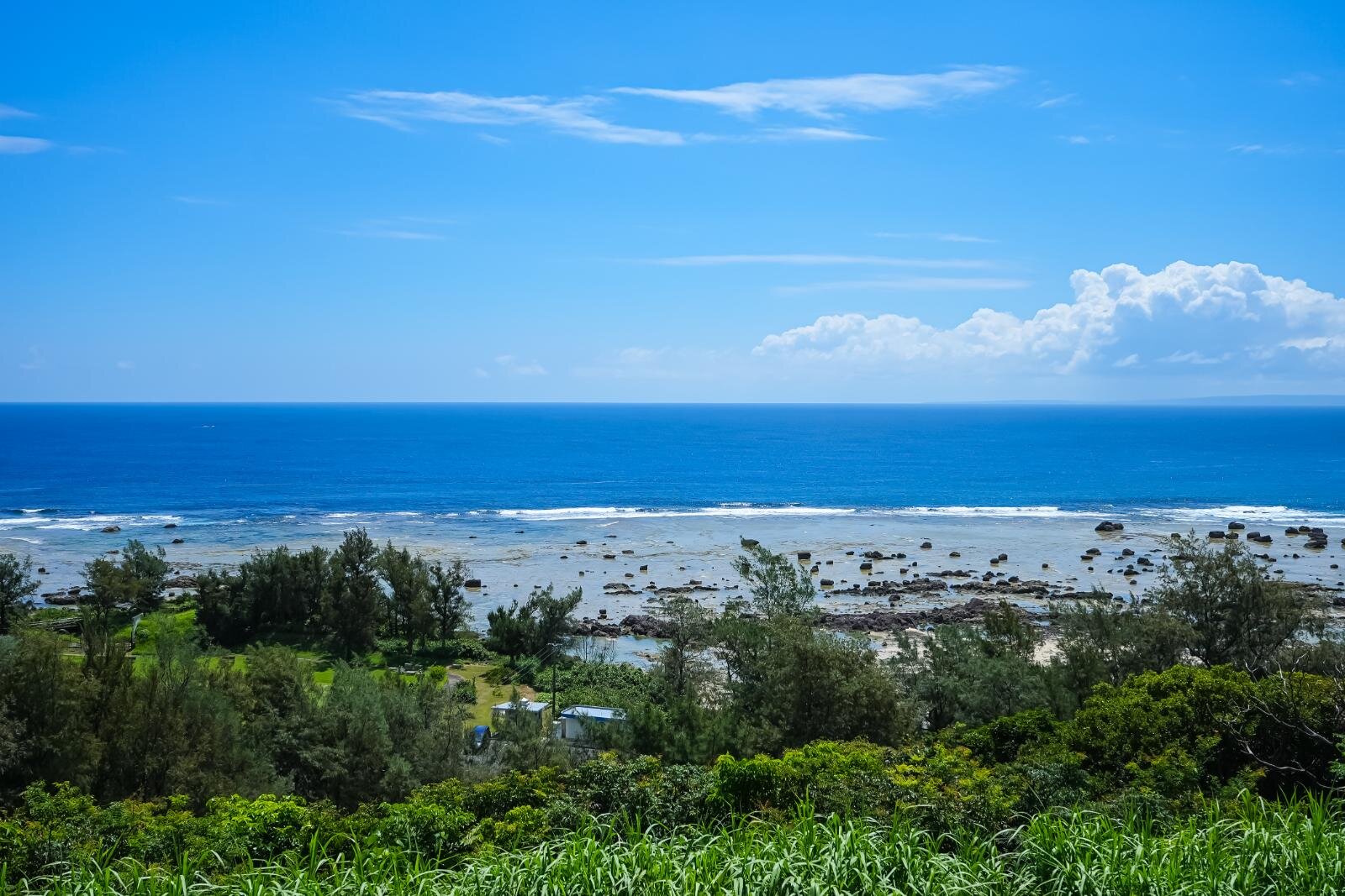 奄美大島の絶景ビーチ完全ガイド、“ウミガメに出会える”海はどこ？観光・ダイビングスポットも｜写真55