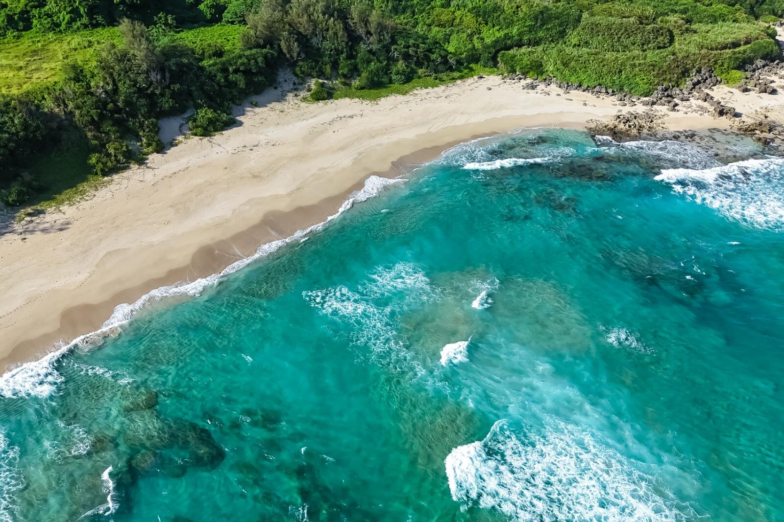 奄美大島の絶景ビーチ完全ガイド、“ウミガメに出会える”海はどこ？観光・ダイビングスポットも｜写真18