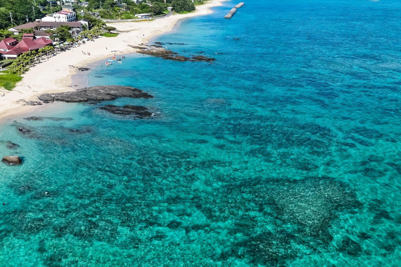 奄美大島の絶景ビーチ完全ガイド、“ウミガメに出会える”海はどこ？観光・ダイビングスポットも｜写真8