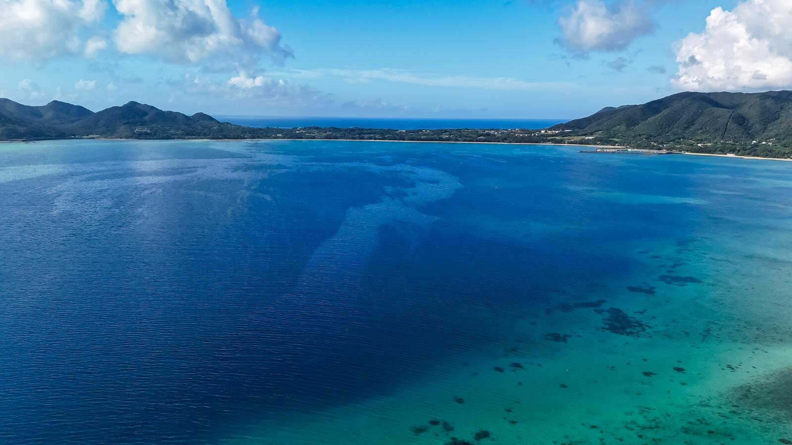 奄美大島の絶景ビーチ完全ガイド、“ウミガメに出会える”海はどこ？観光・ダイビングスポットも｜写真30