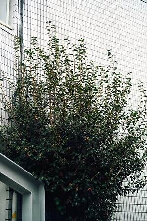 コーヘン(COOHEM) 2025-26年秋冬ウィメンズ&メンズコレクション  - 写真27