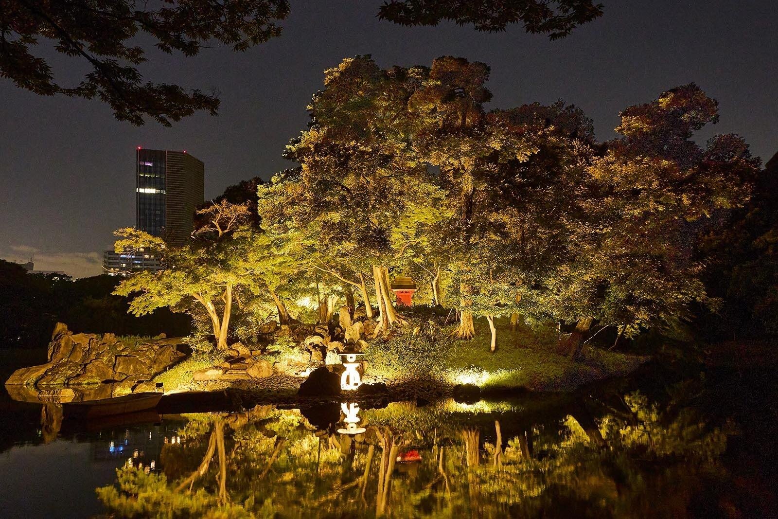 ライトアップ｜小石川後楽園で秋のライトアップイベント2025、夜の特別開園で楽しむ幻想的な景色