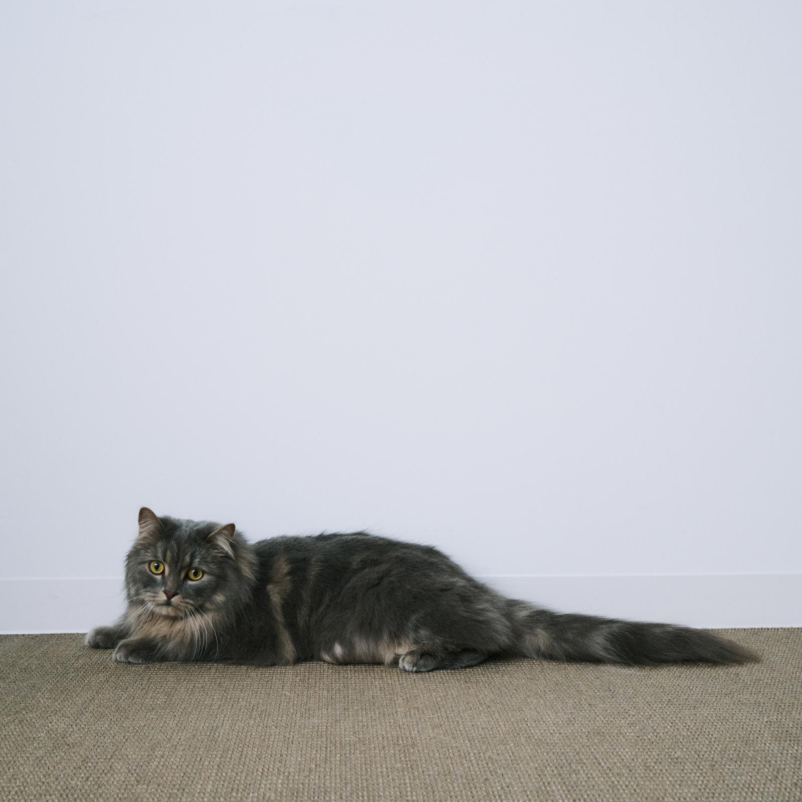 エイトン(ATON) 2025-26年秋冬ウィメンズ&メンズコレクション  - 写真14