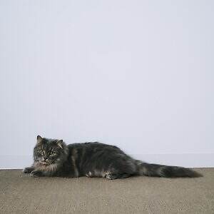 エイトン(ATON) 2025-26年秋冬ウィメンズ&メンズコレクション  - 写真14