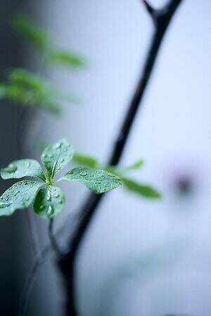 マリリンムーン(MARILYN MOON) 2025-26年秋冬ウィメンズコレクション  - 写真9