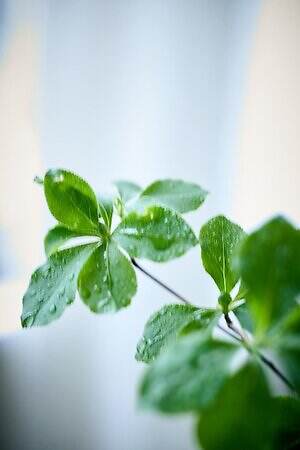 マリリンムーン(MARILYN MOON) 2025-26年秋冬ウィメンズコレクション  - 写真25