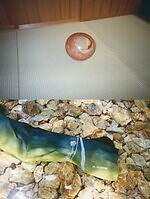 ジル サンダーが京都の伝統工房とコラボ、澄んだ音色の“おりん”チャームやアーカイブ生地の布扇子｜写真25