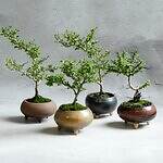 「丸の内ストリートマーケット」東京駅前・行幸地下通路に全国のクリエイターのハンドメイド品が集結｜写真11