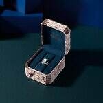 ヴァーミリオン(VERMILLION) ロイヤルスター｜写真20