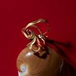 ヴァーミリオン(VERMILLION) ロイヤルスター｜写真9