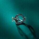 ヴァーミリオン(VERMILLION) ロイヤルスター｜写真7