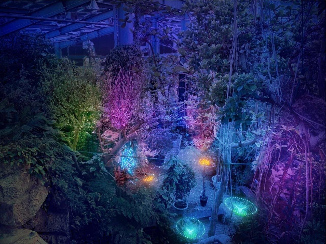 泊まれる植物園「ザ ボタニカルリゾート リンネ」茨城県植物園にグランピング＆温浴施設を新設｜写真3