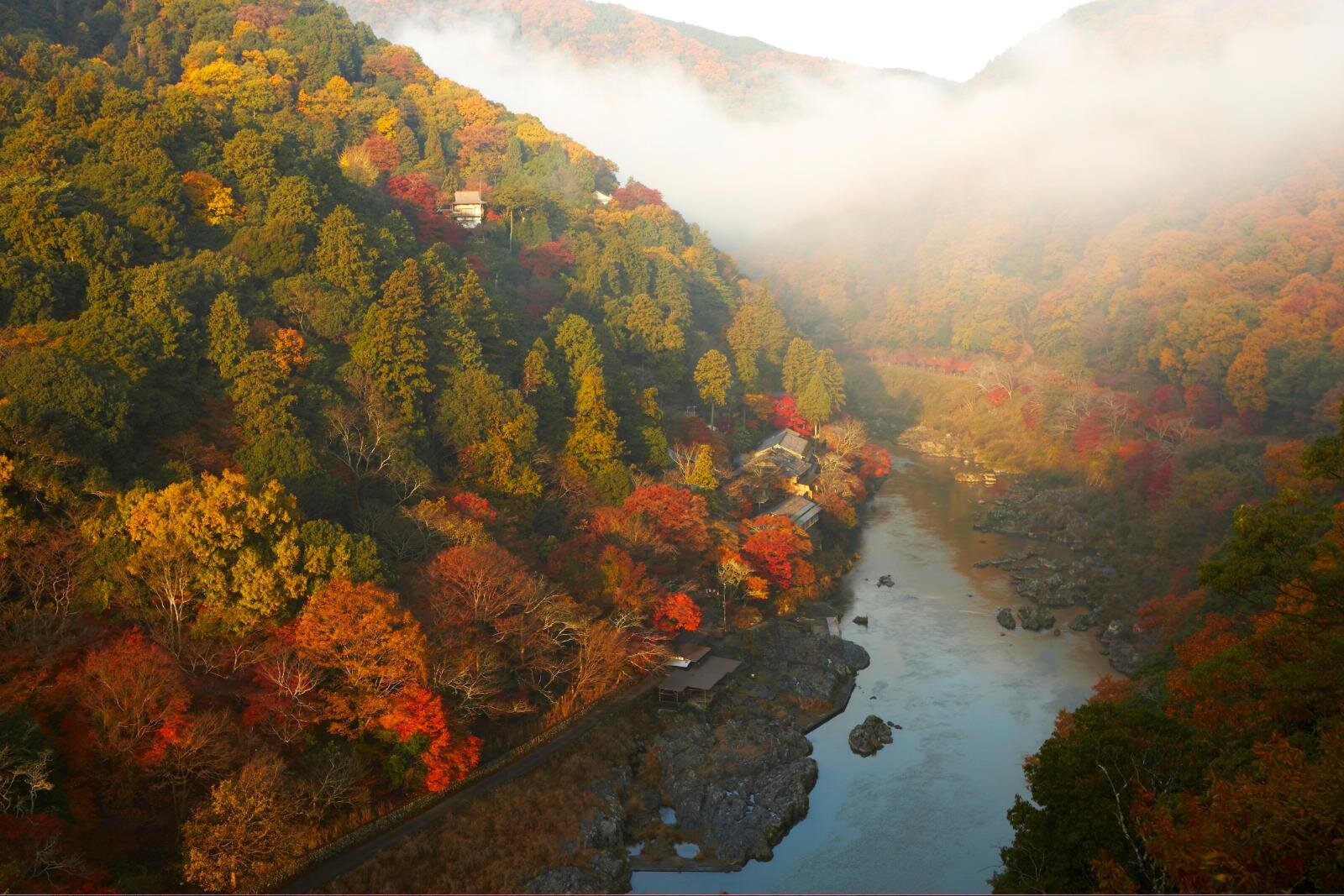 星のや京都”嵐山の紅葉”満喫する秋イベント、虫の音聴く酒宴＆もみじの下で雅楽鑑賞｜写真7