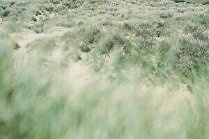 エフシーレアルブリストル(F.C.Real Bristol) 2025-26年秋冬メンズコレクション  - 写真36