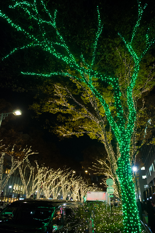 表参道ケヤキ並木にイルミネーション 14年度もクリスマスに向け点灯 ファッションプレス