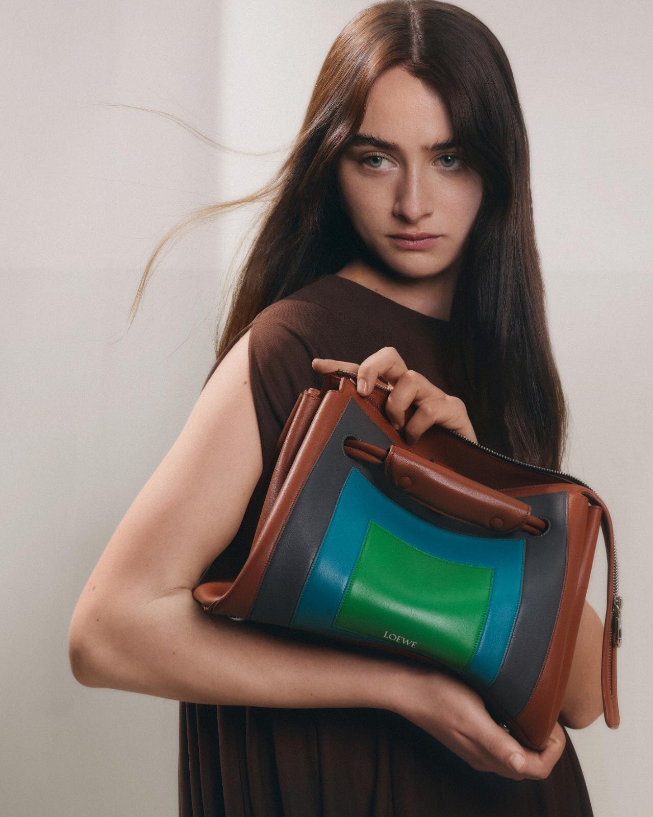 ロエベ(LOEWE) パズルバッグ アマソナ｜写真25