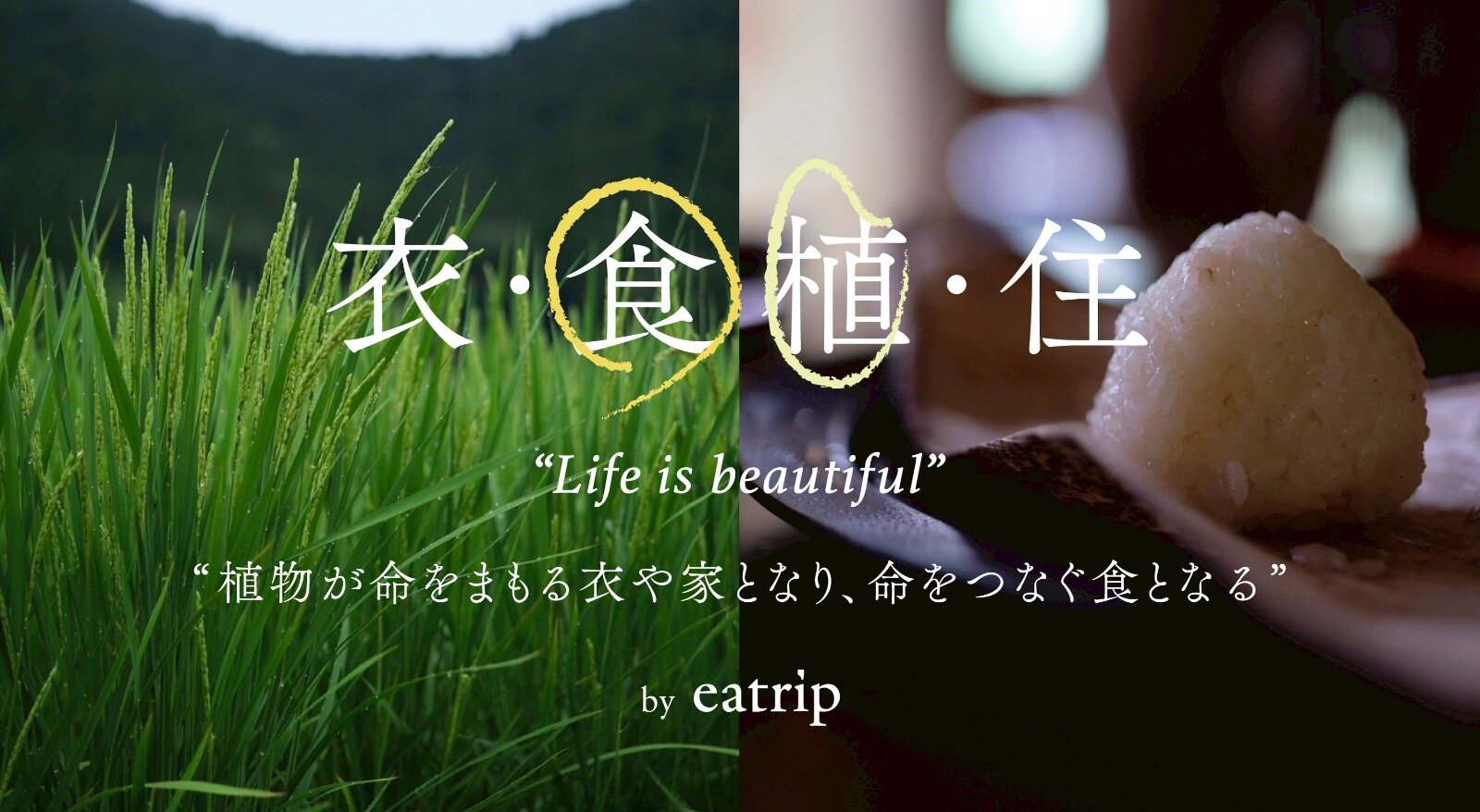 “植物と食”をひもとく展覧会が表参道・GYREで、“稲”にまつわる現代アート＆陶芸を展示｜写真1