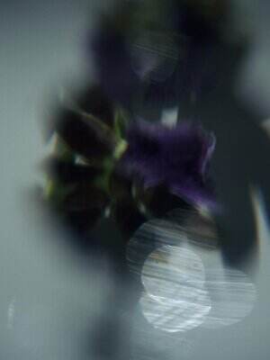 アルディー ノアール(HARDY NOIR) 2025-26年秋冬ウィメンズコレクション  - 写真33