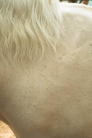 ロエフ(LOEFF) 2024年春メンズコレクション  - 写真5