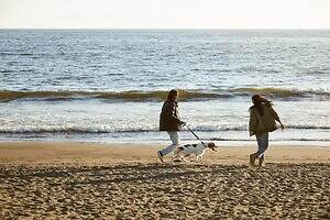 カリフォルニア ジェネラルストア(California General Store) 2023年冬ウィメンズ&メンズコレクション  - 写真8