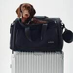 リモワ(RIMOWA) ペットキャリーバッグ｜写真2