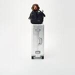 リモワ(RIMOWA) ペットキャリーバッグ｜写真1