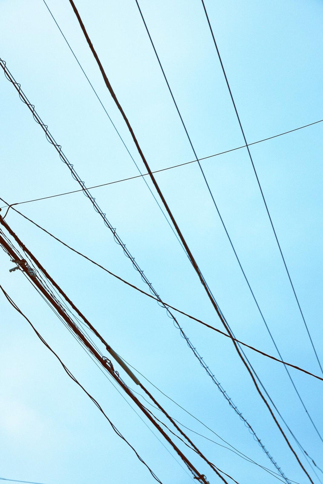 シセ 2026年春夏<span>コレクション</span> - 写真10