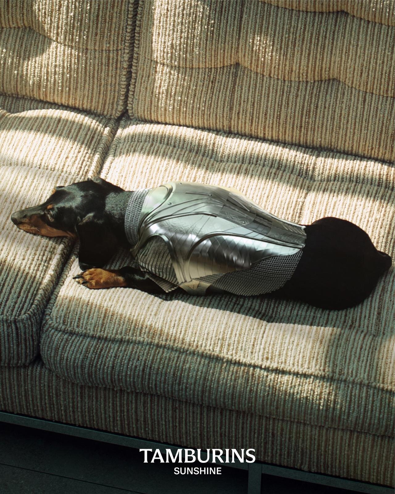タンバリンズ“お昼寝＆森駆ける子犬”着想25年秋フレグランス、メタルの爪配した犬の足型ボトルで｜写真2