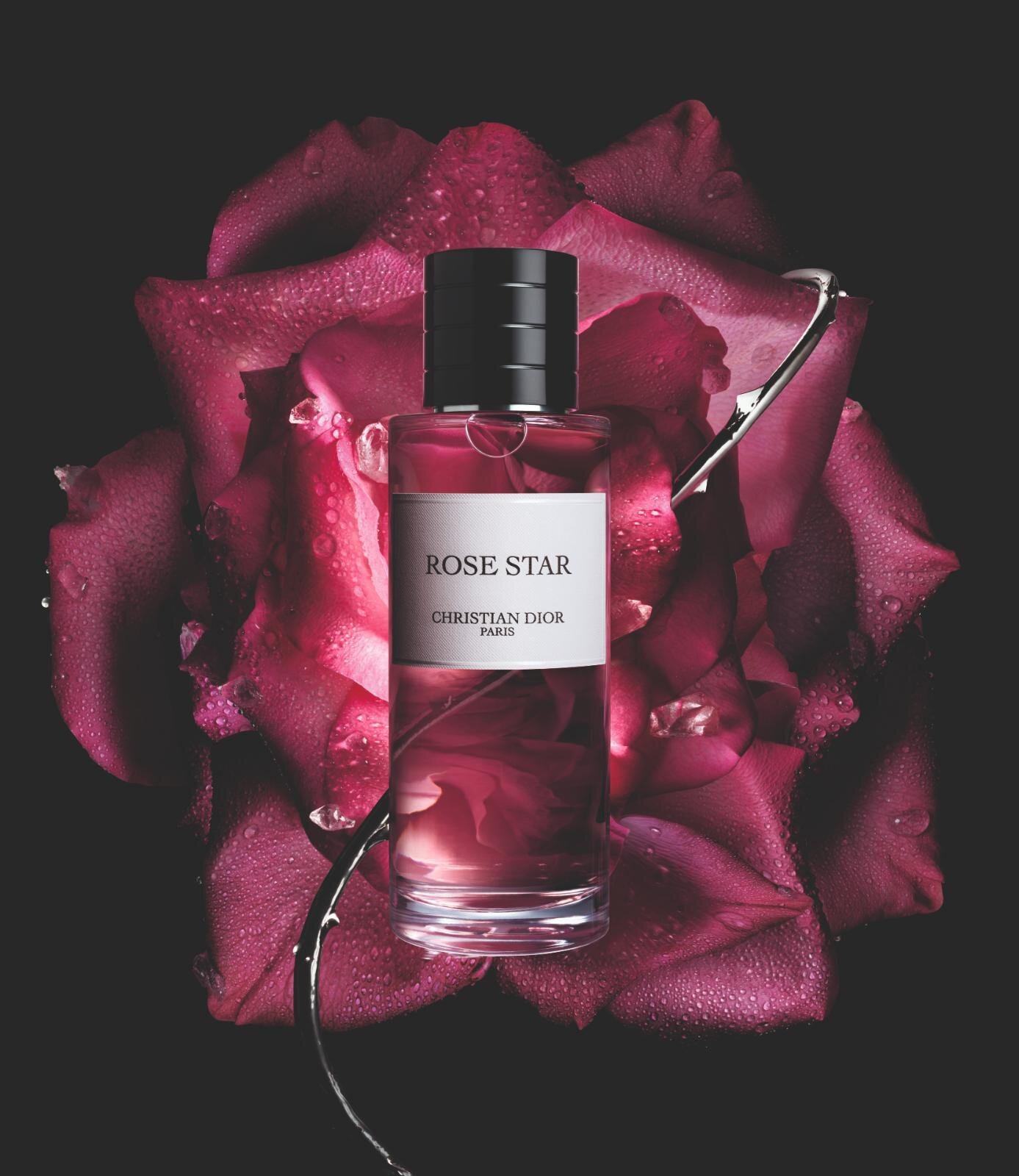 「ラ コレクシオン プリヴェ クリスチャン ディオール ローズ スター オードゥ パルファン」50mL 25,300円、100mL 45,100円、200mL 63,140円
