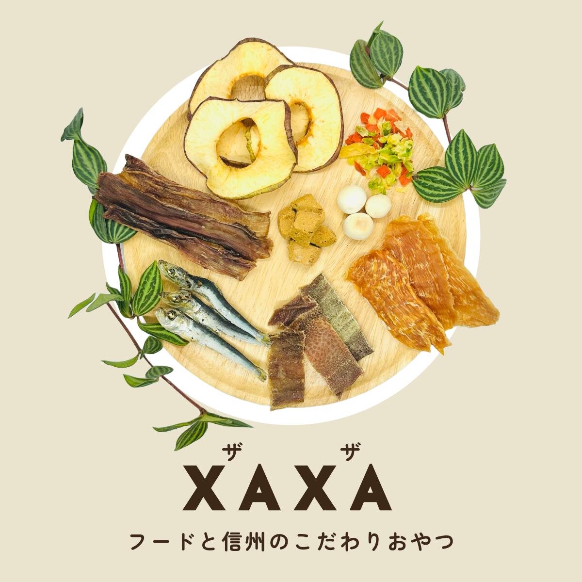 横浜みなとみらい「ベイウォークマーケット 2025」臨海部に様々な店舗出店、愛犬グッズやクラフトビール｜写真16