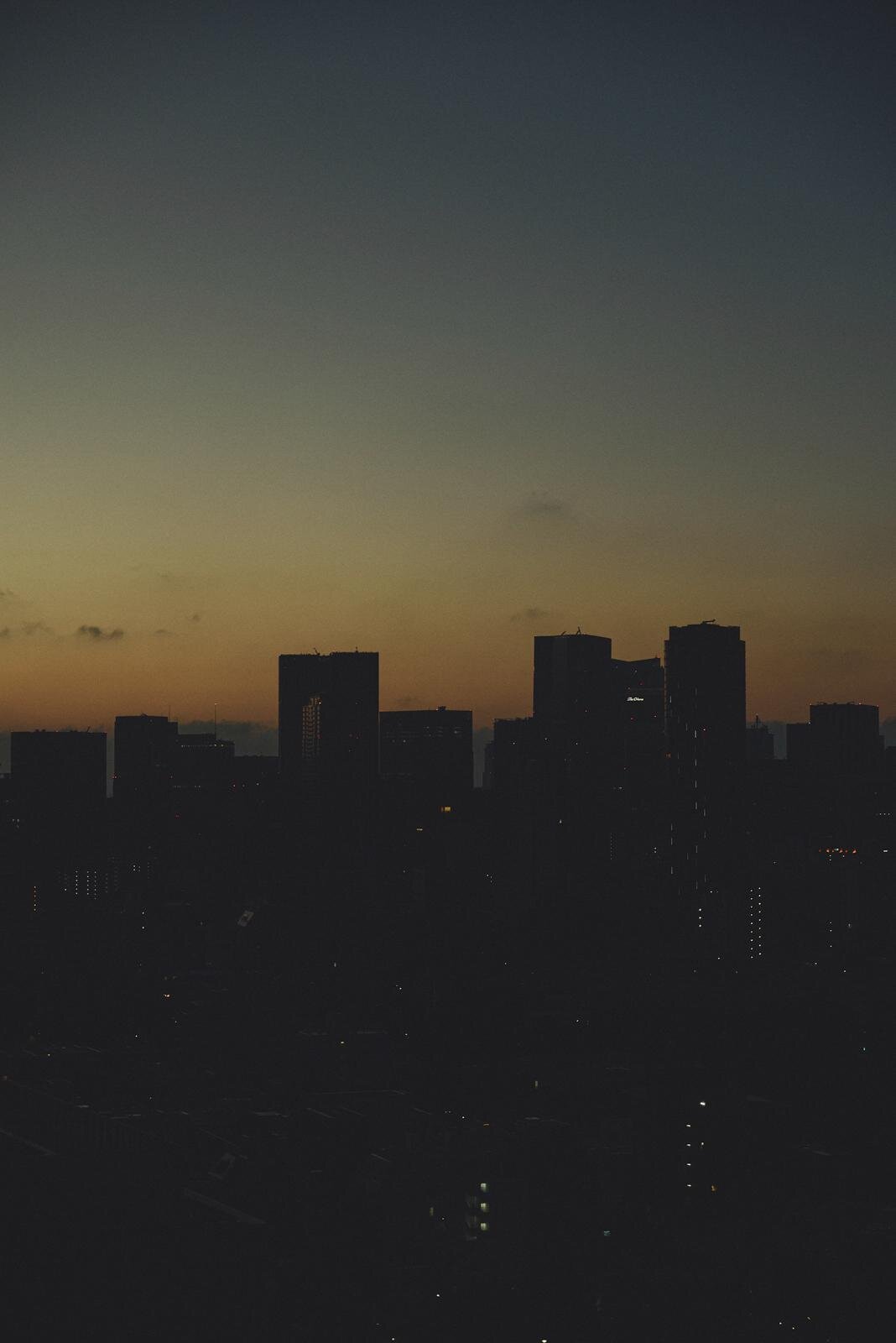 ノーブル(NOBLE) 2025年秋ウィメンズコレクション  - 写真2