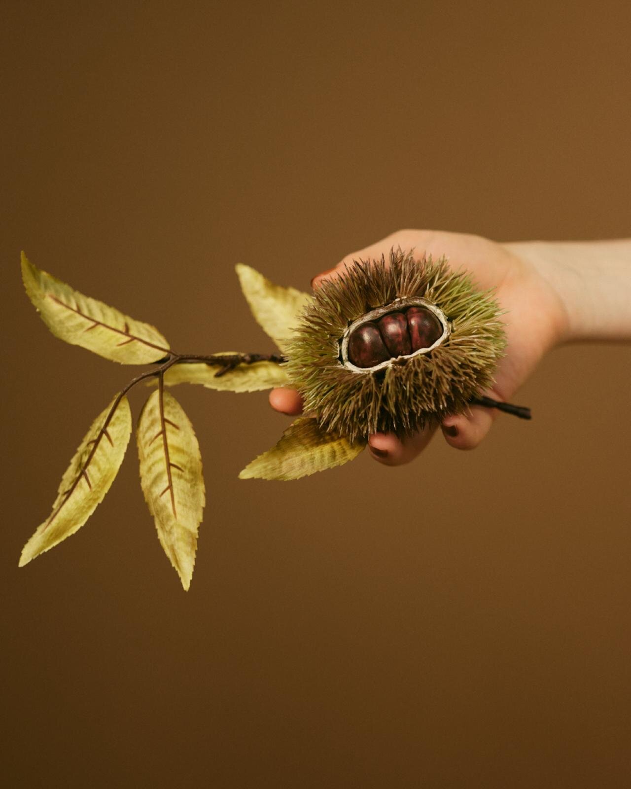 へリン ドット サイ(HeRIN.CYE) 2025-26年秋冬ウィメンズコレクション  - 写真10