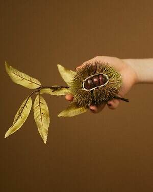 へリン ドット サイ(HeRIN.CYE) 2025-26年秋冬ウィメンズコレクション  - 写真10